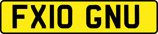 FX10GNU