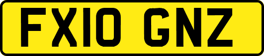 FX10GNZ