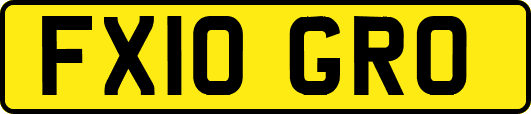 FX10GRO