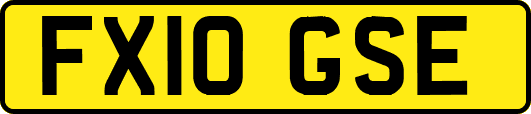 FX10GSE