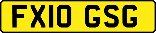 FX10GSG