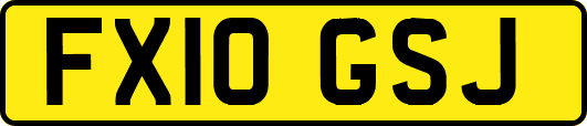 FX10GSJ