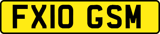 FX10GSM