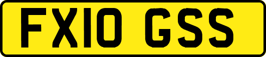 FX10GSS