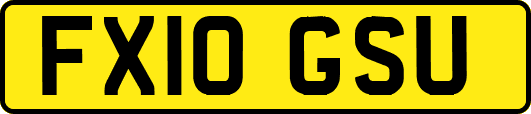 FX10GSU