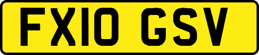 FX10GSV