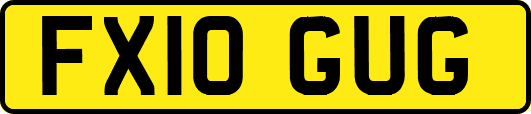FX10GUG