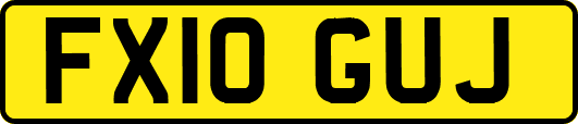 FX10GUJ