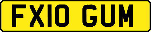 FX10GUM