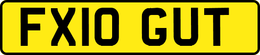 FX10GUT
