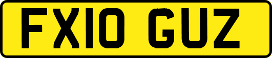 FX10GUZ