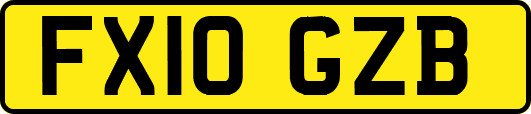 FX10GZB