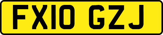 FX10GZJ