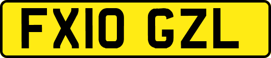 FX10GZL