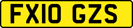 FX10GZS