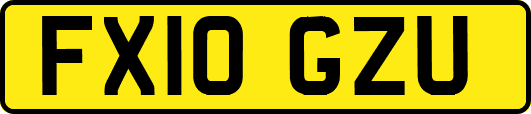 FX10GZU
