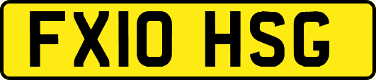 FX10HSG