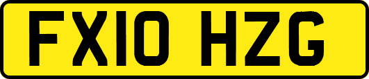 FX10HZG