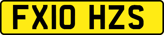 FX10HZS