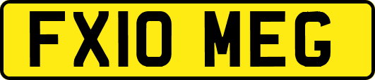 FX10MEG