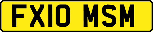 FX10MSM