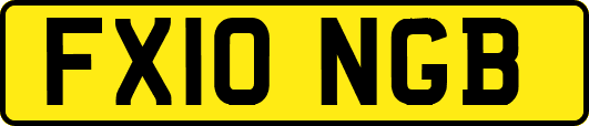 FX10NGB