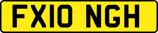 FX10NGH