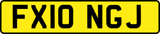 FX10NGJ