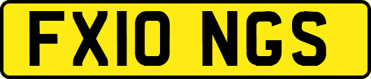 FX10NGS