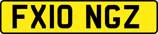 FX10NGZ