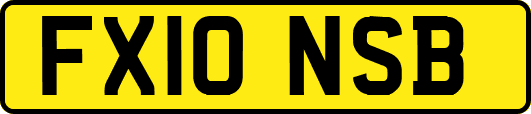 FX10NSB