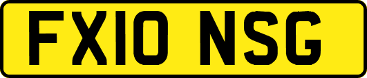 FX10NSG