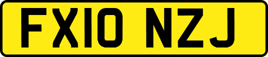 FX10NZJ