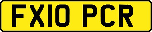 FX10PCR