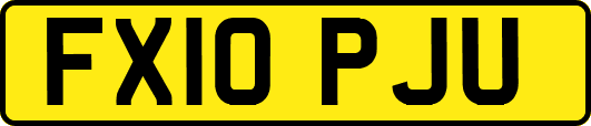 FX10PJU