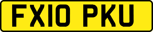 FX10PKU