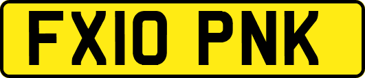FX10PNK