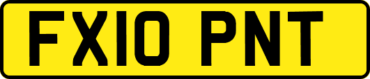 FX10PNT