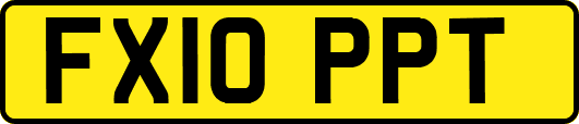 FX10PPT