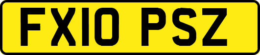 FX10PSZ