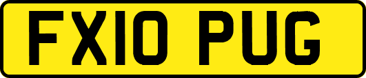 FX10PUG