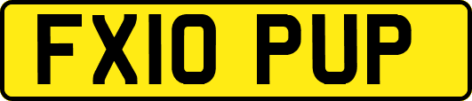 FX10PUP