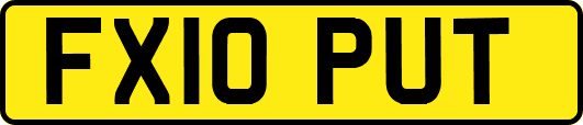 FX10PUT