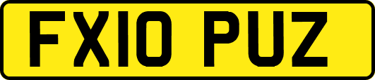 FX10PUZ