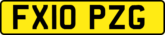 FX10PZG