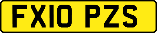 FX10PZS
