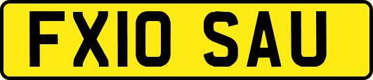 FX10SAU