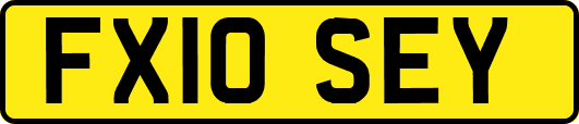 FX10SEY
