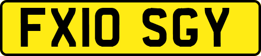 FX10SGY