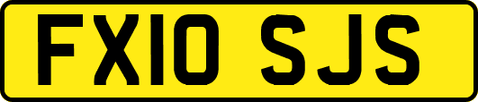FX10SJS